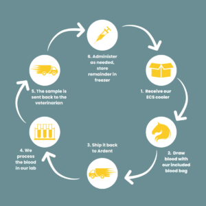 ECS Easy Steps: 1. Receive our ECS cooler 2. Draw blood with our included blood bag 3. Ship it back to Ardent 4. We process the blood in our lab 5. The sample is sent back to the veterinarian 6. Administer as needed, store remainder in freezer